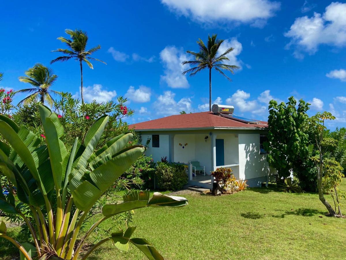 Sea Cliff Eco-Cottages Calibishie Exteriör bild