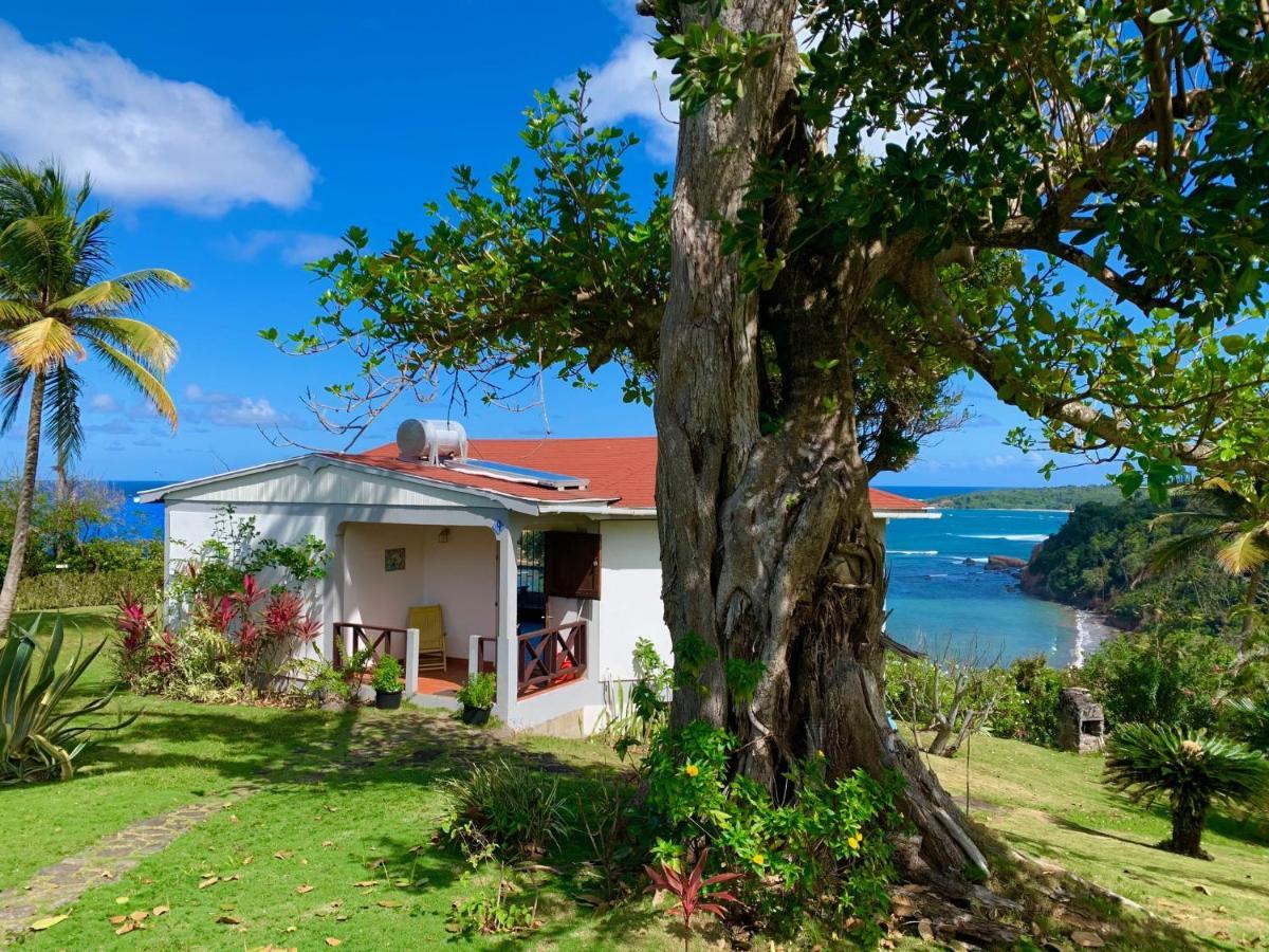 Sea Cliff Eco-Cottages Calibishie Exteriör bild